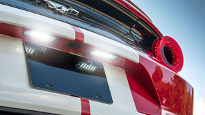 License Plate Lights