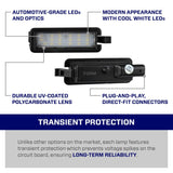 2015-2023 Chrysler 300 LED License Plate Light (one)