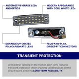 2014-2024 Toyota 4Runner LED License Plate Lights (pair)