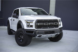 DITCH LIGHT LED SPOT LIGHT SYSTEM: FORD F-150 RAPTOR (15-20)