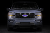 Ford F-150 Raptor Style Grille Light Kit - Fits Stx (2021-2023)