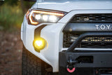 4Banger LED Fog Lights: Toyota (Oval)