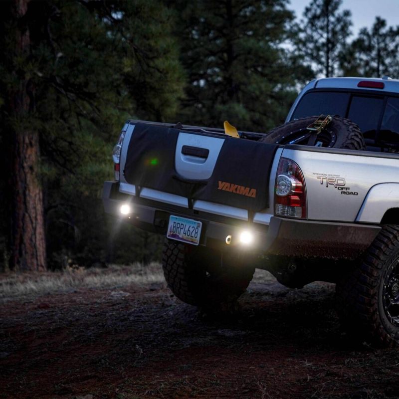 FLEX ERA® 1 - Standard Backup Light Kit