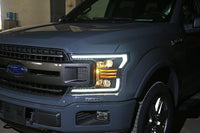 18-20 Ford F150 PRO-Series Halogen Projector Headlights Black