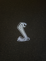 GT350 Puddle Lights