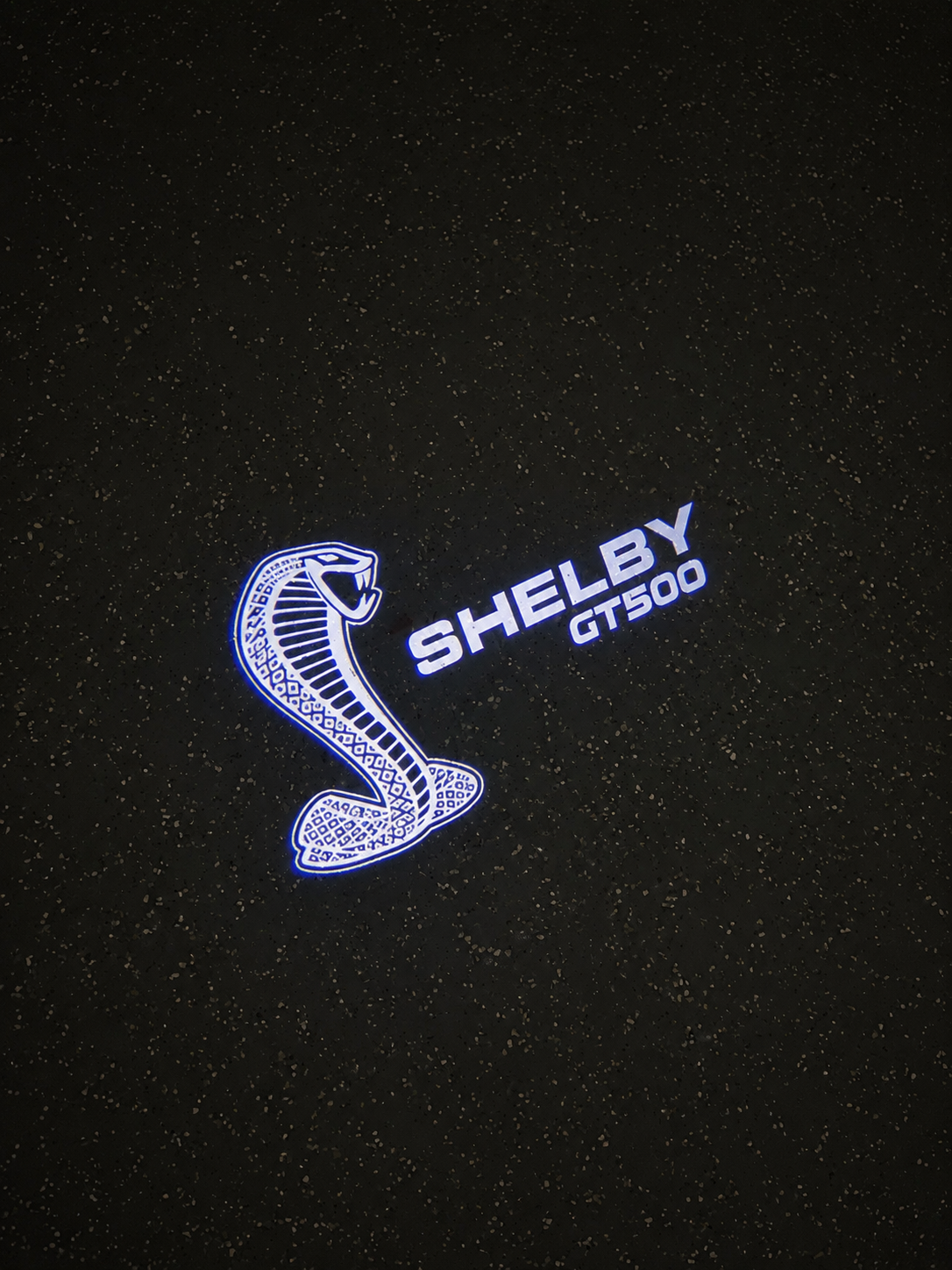 GT500 Puddle Lights
