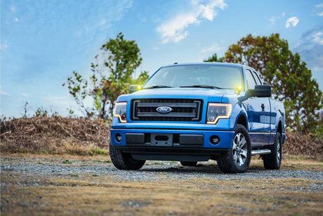 Ford F150 (09-14) Ditch Light Brackets