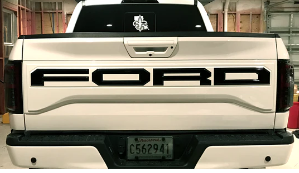 Ford F-150 SVT Raptor 17-20 Tail Lights OLED in Smoked