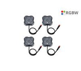 Stage Series RGBW LED Rock Light Kit (4-pack)