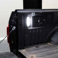 2015-2020 Ford F-150 LED Bed Lights (pair)