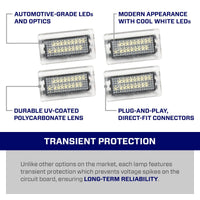 2012-2025 Tesla Model S LED Door Lights (set)