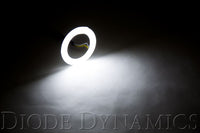 HD LED Switchback Halos (pair)